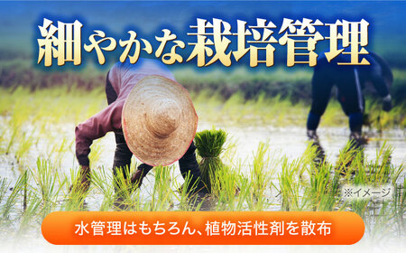 【 新米】【令和7年産】 福井県産 ラクト農法 コシヒカリ 玄米 10kg×2 （20kg） / 小浜市 / 北川博司 [BFDG007]