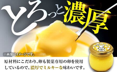 王道プリン6個入り / プリン 洋菓子 おやつ ぷりん / 小浜市 / 志保重 【配送不可地域：離島】[BFBF012]