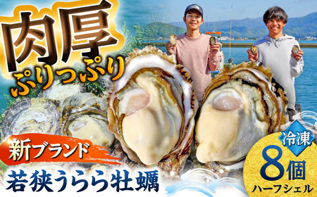若狭うらら牡蠣 ハーフシェル 8個 生食可 / かき カキ 海鮮 小浜市 / 小浜海産物 【配送不可地域：北海道・沖縄・離島】[BFAA099]