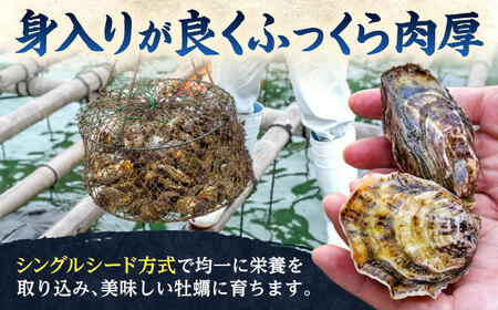 若狭うらら牡蠣 ハーフシェル 8個 生食可 / かき カキ 海鮮 小浜市 / 小浜海産物 【配送不可地域：北海道・沖縄・離島】[BFAA099]
