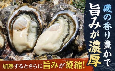 若狭うらら牡蠣 ハーフシェル 8個 生食可 / かき カキ 海鮮 小浜市 / 小浜海産物 【配送不可地域：北海道・沖縄・離島】[BFAA099]