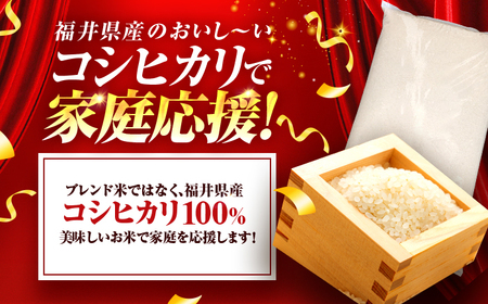 コシヒカリ 精米 10kg 小浜市産 こしひかり [BEEK001]