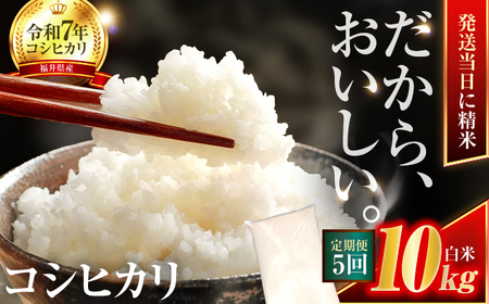 【5回定期便】お米 小浜市産コシヒカリ お米 10kg 小浜市 梅田東米穀店[BFEK017] 25,550円