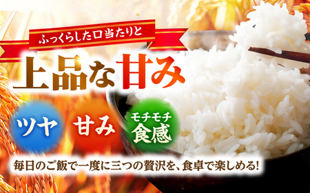 【2026年1月中旬より順次発送】福井県産 いちほまれ 2kg×2袋 合計4kg 福井県 ブランド米 / 白米 精米 甘みとつや 小浜市 / シマダ農園[BFAV013]