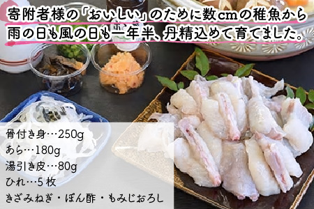 【着日指定可能】【冷蔵でお届け】若狭ふぐ鍋セット2人前   小浜市 / 若狭ふぐの宿 下亟 【配送不可地域：北海道・沖縄・離島】  [BFAF007] 