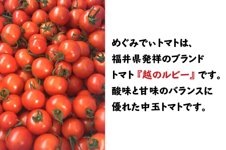 【訳あり】めぐみでぃトマト 3kg 若狭の恵 越のルビー 不揃い 産地直送[A-002005]