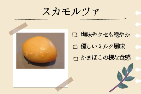 福井県産生乳使用 モッツァレッラチーズセット チーズ [A-020001]
