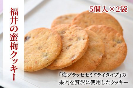 ふくいの梅菓子セット（福井の蜜梅クッキーと梅グラッセセミドライタイプ） 国産 洋菓子 ギフト [A-024003]