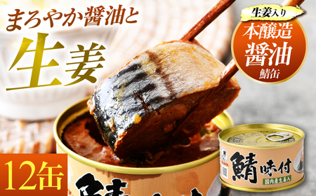 鯖味付缶詰 【生姜入】 12缶  ｜ 鯖 サバ さば 鯖缶 サバ缶 さば缶 鯖缶詰 サバ缶詰 さば缶詰 保存食 常備食 非常食 備蓄 災害対策 本醸造醤油仕立て 生姜 おつまみ [BFAB020]