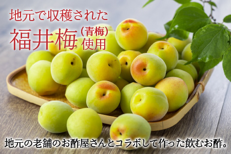 飲む酢 梅の酢 300ml × 3本入 福井梅 ギフト [A-040001]