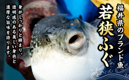 若狭ふぐ てっさセット [冷蔵2人前] [BFAF010]小浜市 【配送不可地域：北海道・沖縄・離島】