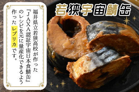 若狭宇宙鯖缶＆強健サバ缶 地上と宇宙の味 食べ比べセット 計6缶 [BFBT003]