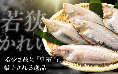 国産 若狭かれいの一夜干し 300g ヤナギムシカレイ [B-007037] [BFAE022] 【配送不可地域：北海道・沖縄・離島】 