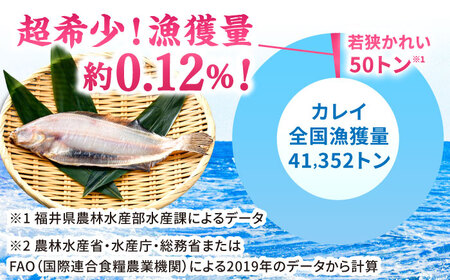 国産 若狭かれいの一夜干し 300g ヤナギムシカレイ [B-007037] [BFAE022] 【配送不可地域：北海道・沖縄・離島】 