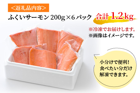 国産 ふくいサーモン 200g × 6パック 計1.2kg  刺身 サケ 鮭[C-001001]