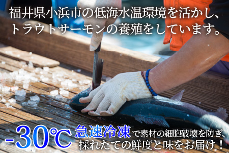国産 ふくいサーモン 200g × 2パック 合計400g  刺身 サケ 鮭[A-001032]