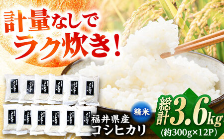【令和7年産】福井県産こしひかり 300g(約2合) × 12パック / 米 精米 お米 小浜市 / シマダ農園 [BFAV002]
