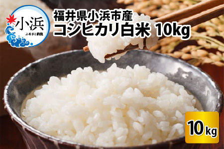 【令和5年産】福井県産コシヒカリ 白米10kg 若狭の恵 こしひかり [A-002018]