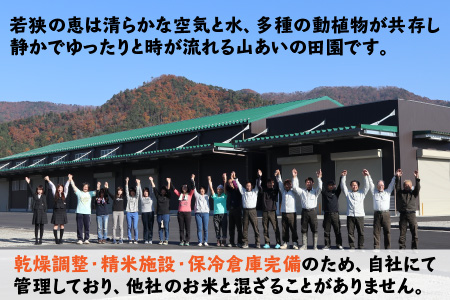 【令和5年産】福井県産コシヒカリ 白米10kg 若狭の恵 こしひかり [A-002018]