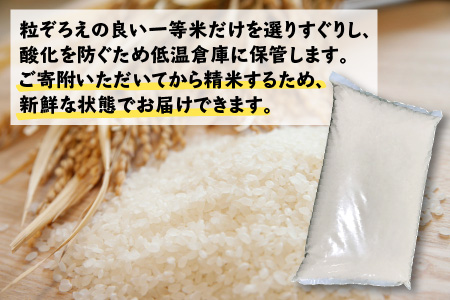 【令和5年産】福井県産コシヒカリ 白米10kg 若狭の恵 こしひかり [A-002018]