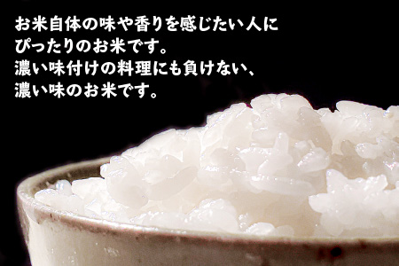 【令和5年産】福井県産コシヒカリ 白米10kg 若狭の恵 こしひかり [A-002018]