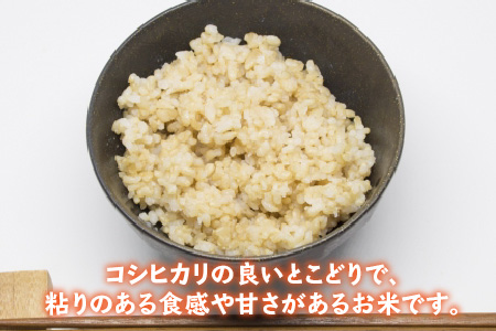 【令和6年産 新米】福井県産あきさかり 玄米 30kg 若狭の恵 玄米