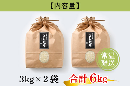 【令和6年産 新米】福井県産こしひかり 3kg × 2袋 計6kg (紙袋入り)