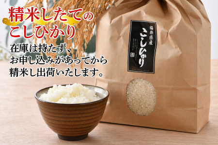 【令和6年産 新米】福井県産こしひかり 3kg × 2袋 計6kg (紙袋入り)