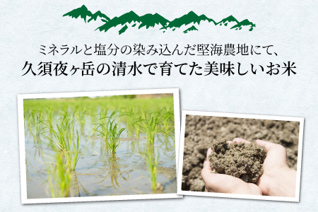 【令和6年産 新米】福井県産コシヒカリ「千石」 10kg[A-079003]