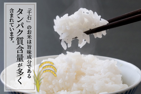 【先行予約】【令和6年産】福井県産コシヒカリ「千石」 5kg【2024年10月より順次発送】[Y-079003]