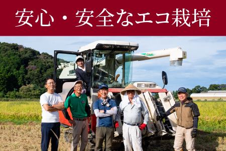 【先行予約】【令和6年産】福井県産コシヒカリ「千石」 5kg【2024年10月より順次発送】[Y-079003]