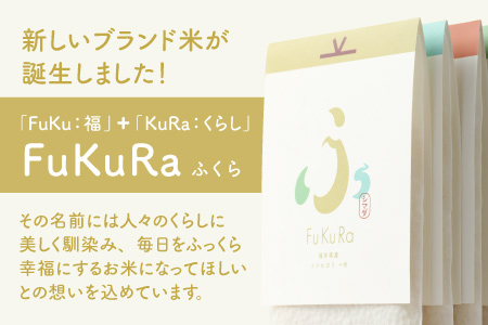 【令和5年産】『FuKuRa』無洗米真空パックこしひかり1合・5パック×2箱[A-017032]