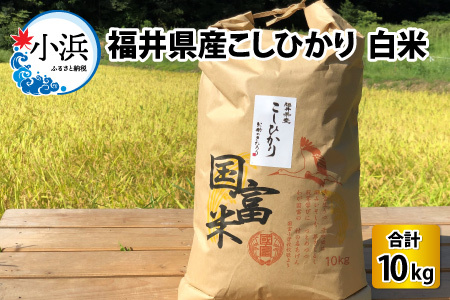 【令和6年産 新米】 福井県産こしひかり 白米 10kg[A-046005]