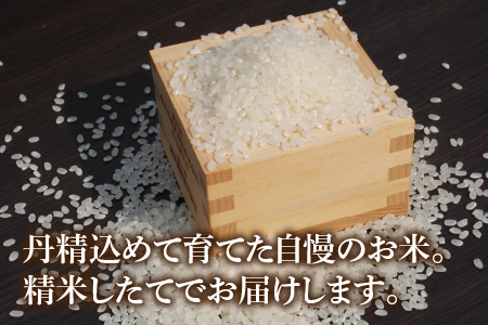 【令和6年産 新米】 福井県産こしひかり 白米 10kg[A-046005]