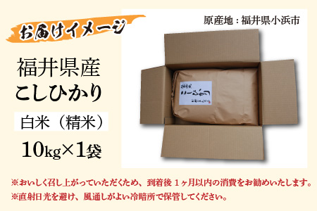 【令和6年産 新米】 福井県産こしひかり 白米 10kg[A-046005]