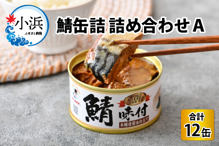 鯖缶詰12缶詰め合わせA 180g × 12缶 本醸造醤油仕立て 唐辛子 生姜