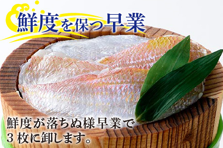 小鯛ささ漬 中樽 130g×2樽   計260g [A-001036] [BFAA042] 【配送不可地域：離島】 