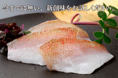 のどぐろ ささ漬 半樽 70g×4樽 / ささ漬け 魚 ノドグロ 小浜市 / 小浜海産物 [BFAA016] 【配送不可地域：離島】 