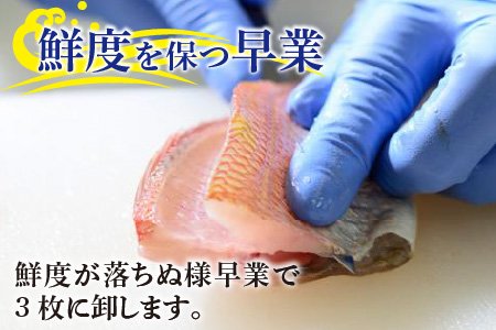 小鯛ささ漬 大樽 180g×3樽 計540g [B-001011] [BFAA045] 【配送不可地域：離島】 