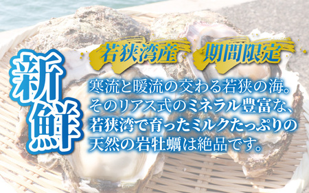 【先行予約】【期間限定】若狭の天然岩牡蠣（生食用）2kg 6?8個入り [A-012025]