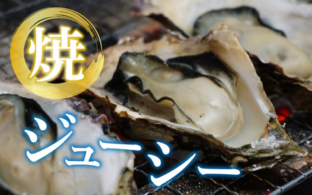 【先行予約】【期間限定】若狭の天然岩牡蠣（生食用）2kg 6?8個入り [A-012025]