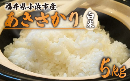 【先行予約】【令和6年産 新米】福井県産あきさかり　白米5kg　若狭の恵【９月下旬より順次発送】