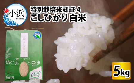 【令和5年産】福井県産特別栽培米認証4こしひかり 白米5kg [Y-002002]