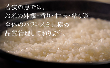 【令和5年産】福井県産特別栽培米認証4こしひかり 白米5kg [Y-002002]