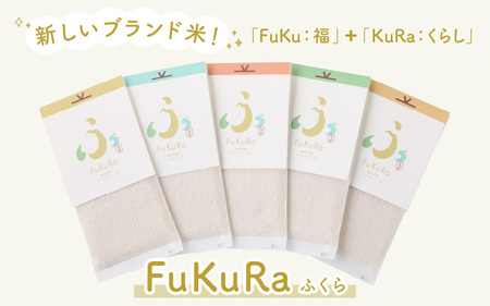 【令和7年産】『FuKuRa』無洗米真空パックこしひかり1合・10パック 小浜市 / シマダ農園 [BFAV005] 