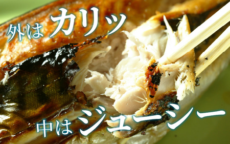 浜焼き鯖 400g  1尾 【配送不可地域：離島】 小浜市 / 朽木屋 [BFCM004] 