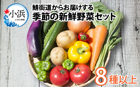 鯖街道からお届けする季節の新鮮野菜セット 8種以上[A-023004]