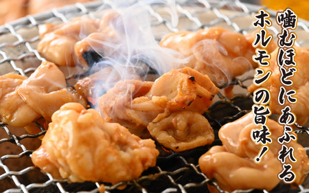 【6ヶ月定期便】【全国ホルモン大会初代優勝】星山ホルモン全種、若鶏、牛ハラミ、牛カルビの6ヶ月定期便セット【行列のできるお店】