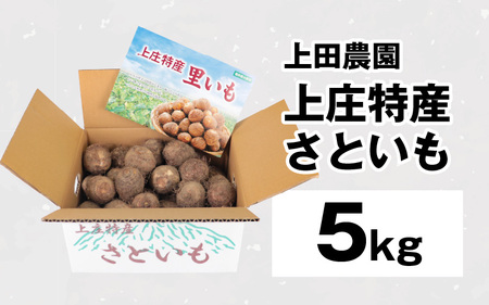 【先行予約】【満天☆青空レストランでご紹介】【年内出荷】上田農園 上庄特産さといも 5kg【10月下旬～順次発送】