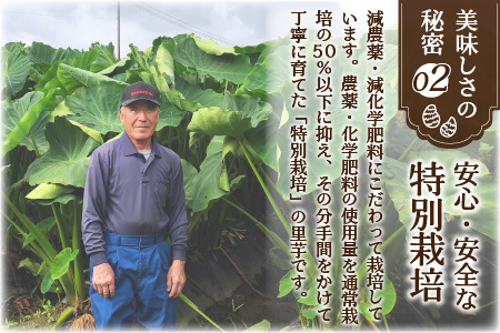 【先行予約】【3月発送分】上庄さといも 3kg 減農薬・減化学肥料の特別栽培里芋 農家直送